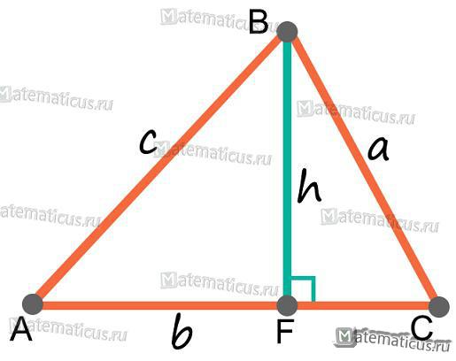 высота треугольника